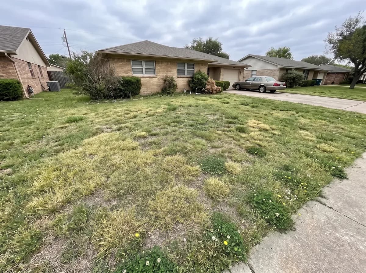 A thin, weedy Rockwall lawn with tired patchy turf before Green Lawn Fertilizing treatment