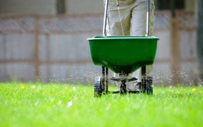 Tips for Fertilizing Lawns