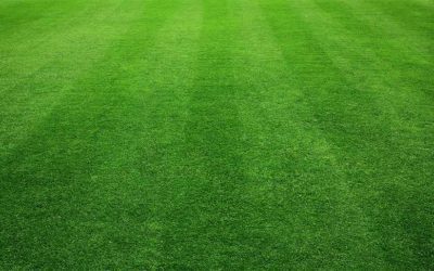 Tips to Keep Your Lawn Green