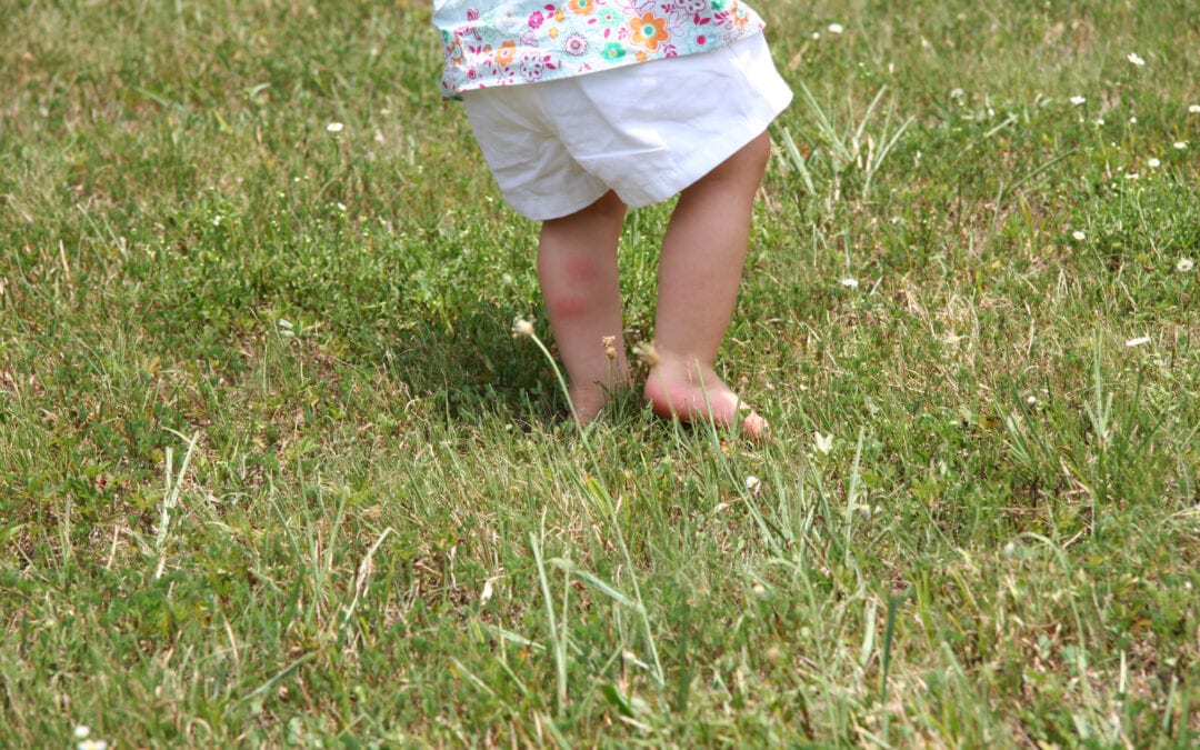 When is the Best Time of Year to Kill Weeds in Texas?