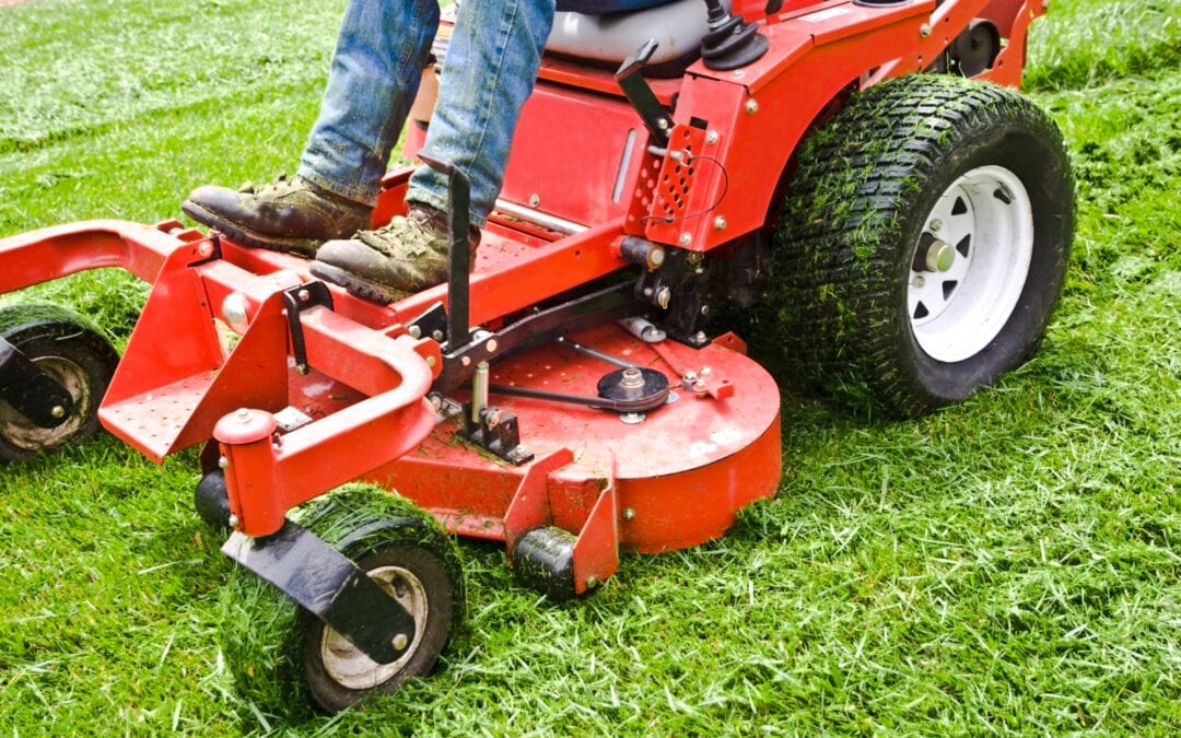 8 Important Lawn Care Tips for People Living in Texas