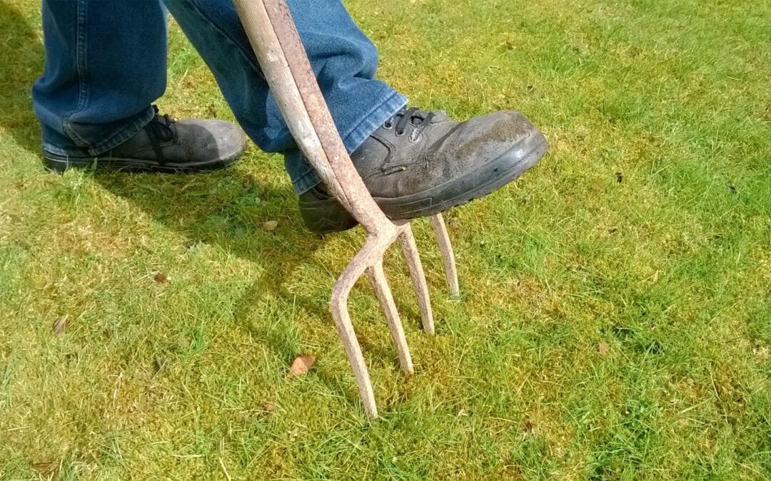 Letting Your Lawn Breathe: 8 Benefits of Lawn Aeration in Plano, Texas