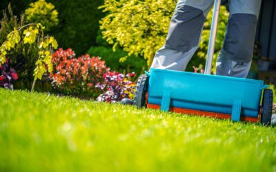 Fertilize Your Lawn in Five Easy Steps