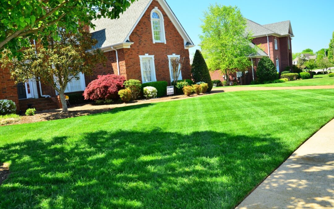 5 Tips on Choosing a Lawn Care Service for Homeowners