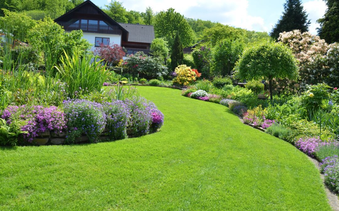 Lawn Care Tips: 5 Tips for Growing Luscious Lawns You Can Be Proud Of