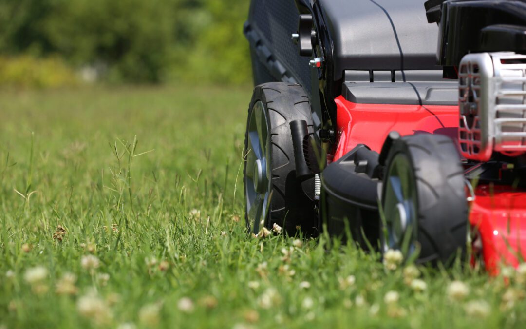 Top 5 Benefits of Hiring Lawn Care Services for Homeowners