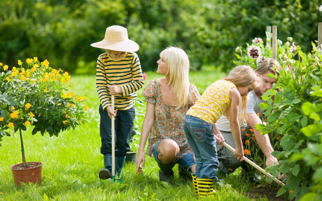 4 Common Weed Control Mistakes and How to Avoid Them