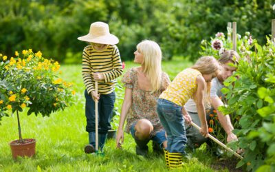 4 Common Weed Control Mistakes and How to Avoid Them