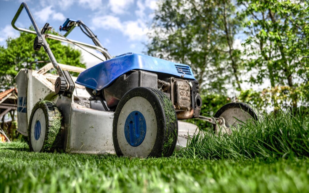 Are You Cutting Your Grass Too Short?