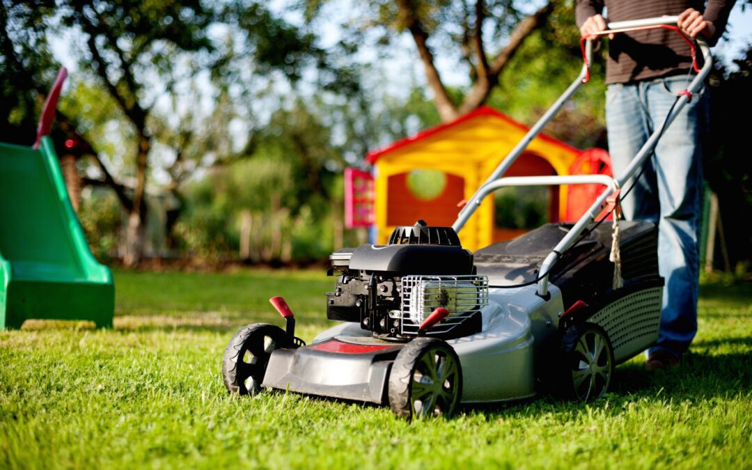 How Often Should You Cut Your Grass?