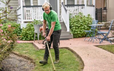 How to Hire the Best Lawn Care Service