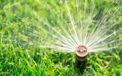 Watering Your Lawn During a Hot Texas Summer