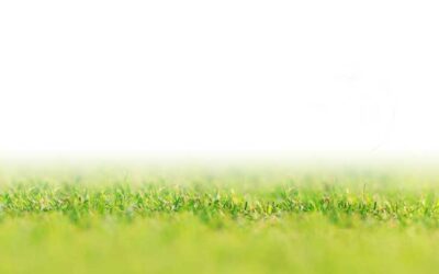 The Benefits of Healthy Grass
