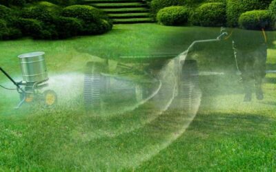 The Ultimate Guide to Weed Control in Rockwall, TX: Strategies, Tips, and Expert Advice